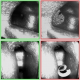 Nanocamera channels with and without defects